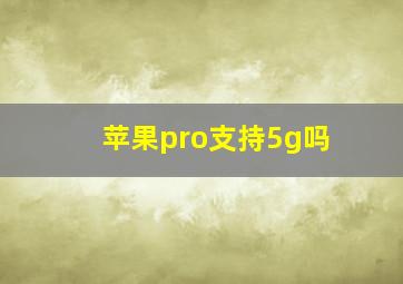 苹果pro支持5g吗