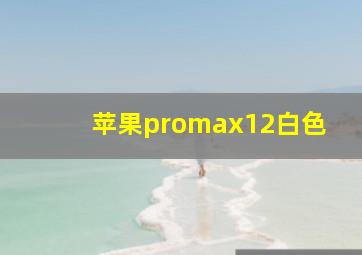 苹果promax12白色