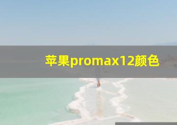 苹果promax12颜色