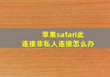 苹果safari此连接非私人连接怎么办