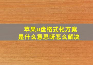 苹果u盘格式化方案是什么意思呀怎么解决