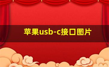 苹果usb-c接口图片