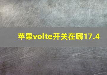 苹果volte开关在哪17.4