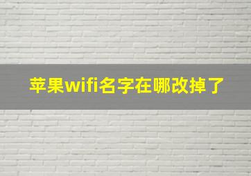 苹果wifi名字在哪改掉了