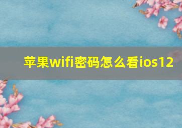 苹果wifi密码怎么看ios12