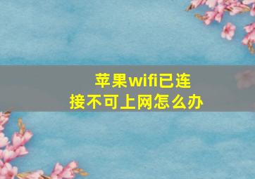 苹果wifi已连接不可上网怎么办