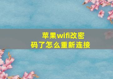 苹果wifi改密码了怎么重新连接