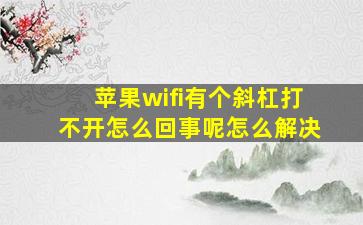 苹果wifi有个斜杠打不开怎么回事呢怎么解决