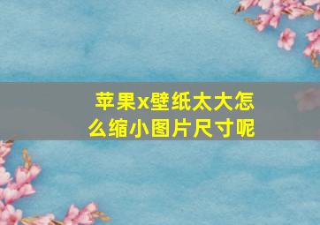 苹果x壁纸太大怎么缩小图片尺寸呢