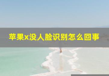 苹果x没人脸识别怎么回事