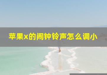 苹果x的闹钟铃声怎么调小