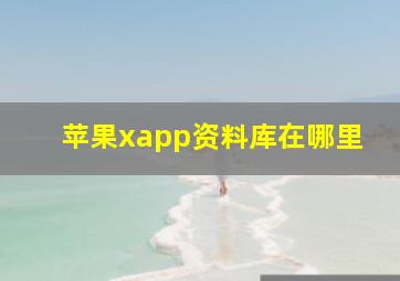 苹果xapp资料库在哪里