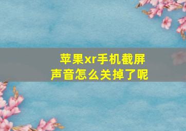 苹果xr手机截屏声音怎么关掉了呢