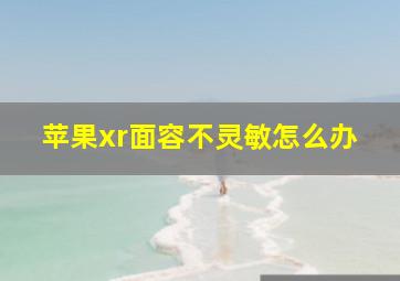 苹果xr面容不灵敏怎么办