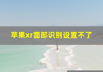 苹果xr面部识别设置不了