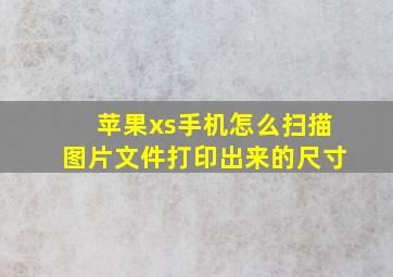 苹果xs手机怎么扫描图片文件打印出来的尺寸