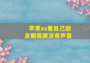 苹果xs看自己朋友圈视频没有声音