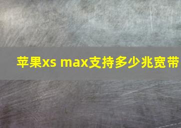 苹果xs max支持多少兆宽带