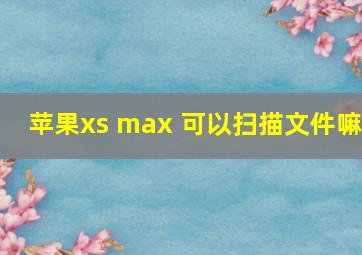 苹果xs max 可以扫描文件嘛