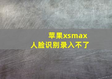 苹果xsmax人脸识别录入不了