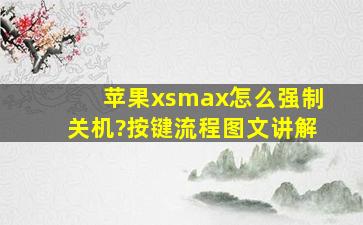 苹果xsmax怎么强制关机?按键流程图文讲解