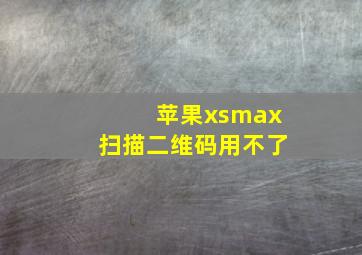 苹果xsmax扫描二维码用不了