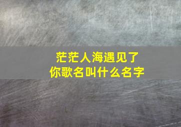 茫茫人海遇见了你歌名叫什么名字