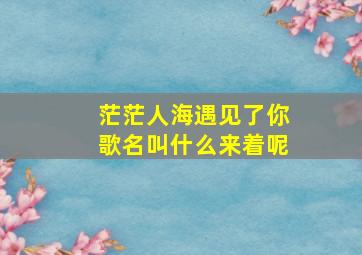 茫茫人海遇见了你歌名叫什么来着呢