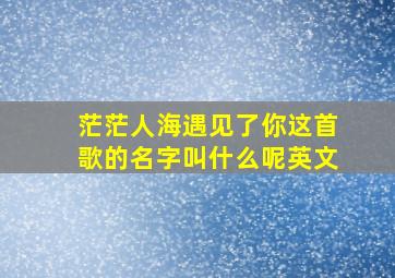 茫茫人海遇见了你这首歌的名字叫什么呢英文