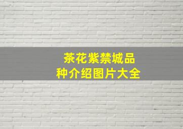 茶花紫禁城品种介绍图片大全