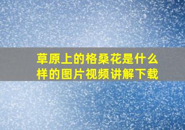 草原上的格桑花是什么样的图片视频讲解下载