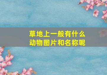 草地上一般有什么动物图片和名称呢