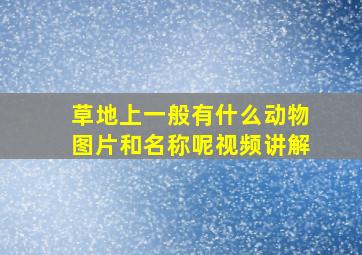 草地上一般有什么动物图片和名称呢视频讲解