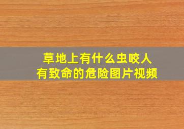 草地上有什么虫咬人有致命的危险图片视频