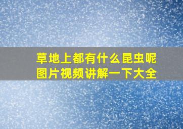 草地上都有什么昆虫呢图片视频讲解一下大全