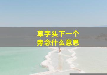 草字头下一个旁念什么意思