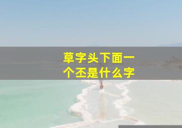 草字头下面一个丕是什么字