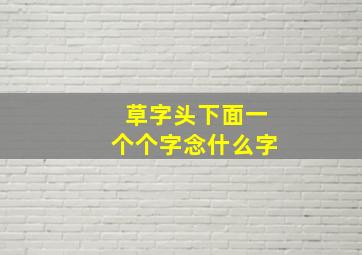 草字头下面一个个字念什么字