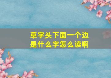 草字头下面一个边是什么字怎么读啊