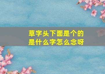 草字头下面是个的是什么字怎么念呀