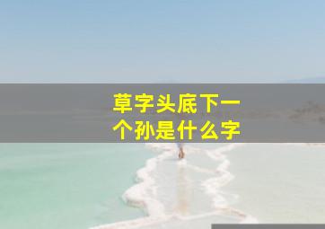 草字头底下一个孙是什么字