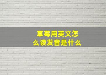 草莓用英文怎么读发音是什么