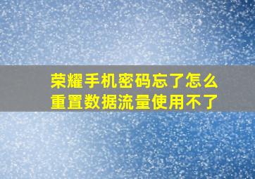 荣耀手机密码忘了怎么重置数据流量使用不了