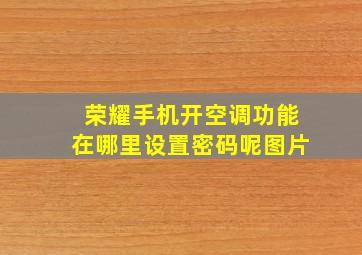 荣耀手机开空调功能在哪里设置密码呢图片