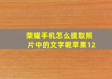 荣耀手机怎么提取照片中的文字呢苹果12