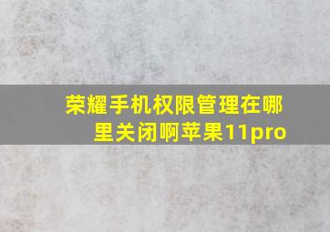 荣耀手机权限管理在哪里关闭啊苹果11pro