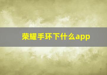 荣耀手环下什么app