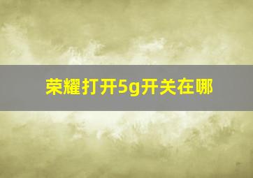 荣耀打开5g开关在哪