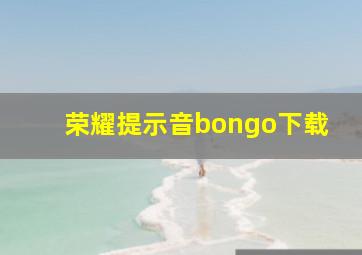 荣耀提示音bongo下载