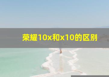 荣耀10x和x10的区别